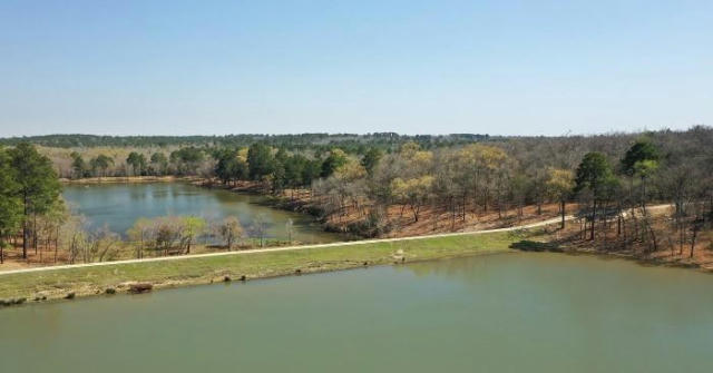 LOT 123 THREE LAKES RANCH, CENTERVILLE, TX 75833, photo 4 of 4
