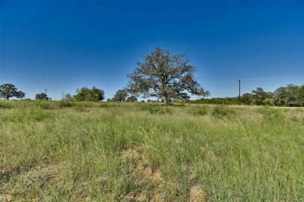 173 SUNNY DAY DR, RED ROCK, TX 78662 - Image 1