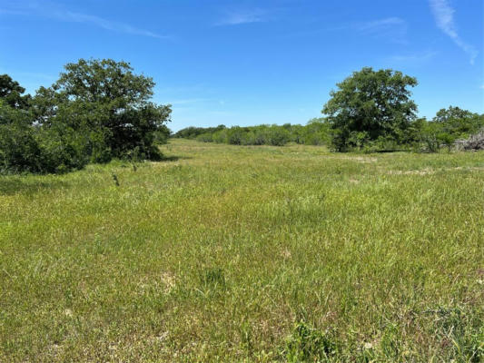 TRACT 4 CR 482, GONZALES, TX 78629, photo 3 of 16
