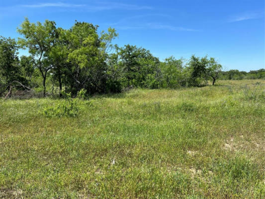 TRACT 6 CR 482, GONZALES, TX 78629, photo 2 of 14