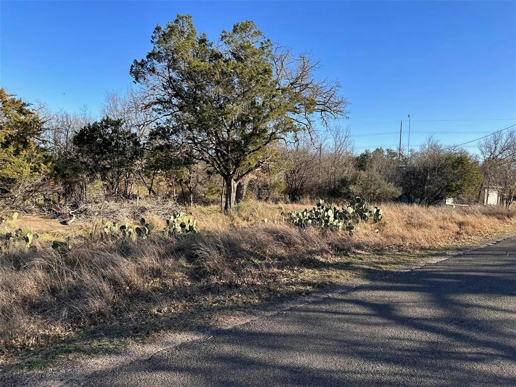 LOT212 PECAN LN, COTTONWOOD SHORES, TX 78657, photo 1 of 2