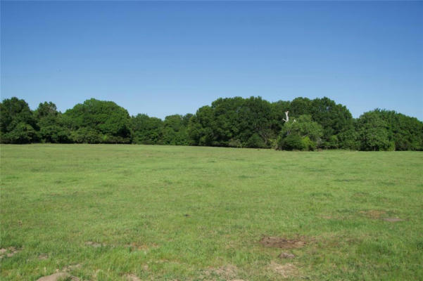 TBD ST DELIGHT RD (TRACT 10), PAIGE, TX 78659, photo 3 of 8