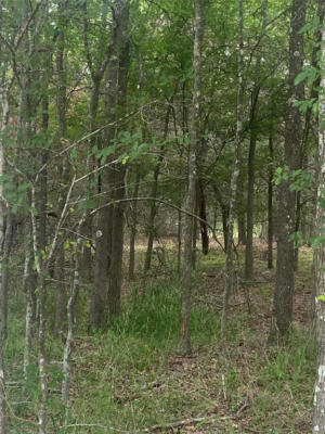 LOT 143 SEC 2 COMMANCHE RD, SMITHVILLE, TX 78957, photo 4 of 20