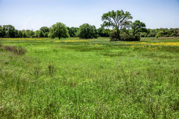 4448 COUNTY ROAD 430, DIME BOX, TX 77853, photo 2 of 40