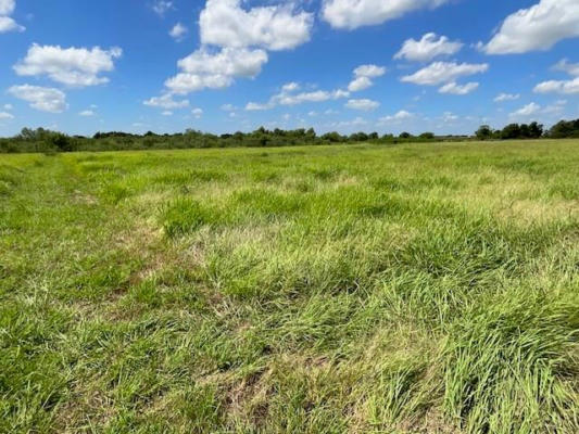 TBD CR 469, LOT 2, COUPLAND, TX 78615 - Image 1