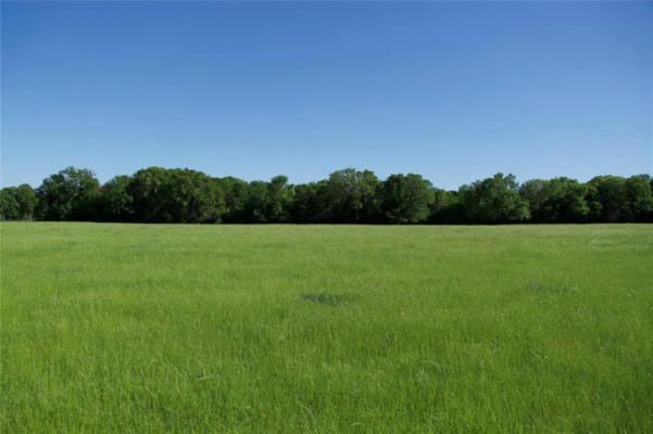 TBD ST DELIGHT RD (TRACT 2), PAIGE, TX 78659, photo 4 of 8