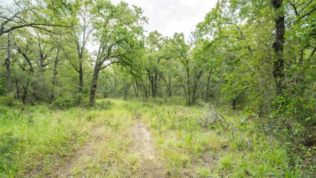 418B COUNTY ROAD 405, BUCKHOLTS, TX 76518, photo 2 of 18