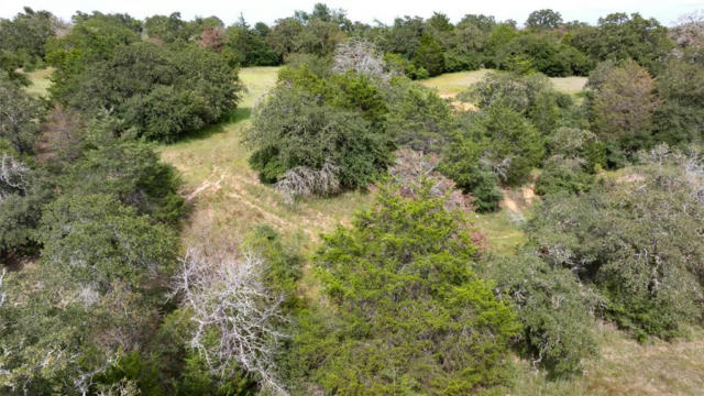 13 ACRES TBD COUNTY ROAD 331, MILANO, TX 76556, photo 4 of 15