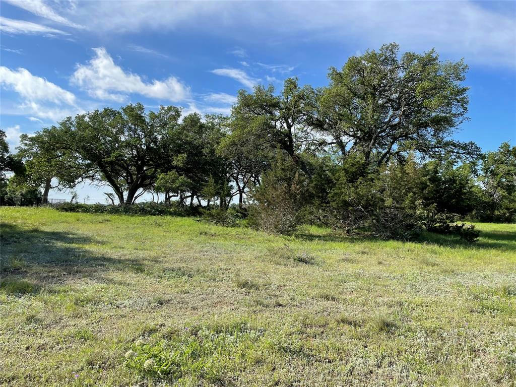 104 TOM ROSS, BLANCO, TX 78606, photo 1 of 17