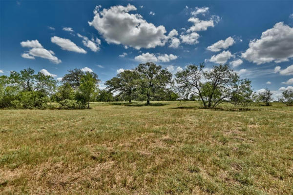 TBD 1-8 (2.5 ACRES) NEW MOON CT, RED ROCK, TX 78662, photo 5 of 17