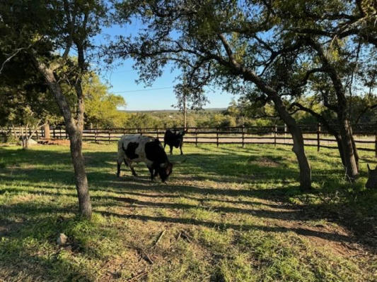 274 SWEET BLESSINGS WAY, DRIPPING SPRINGS, TX 78620, photo 2 of 40