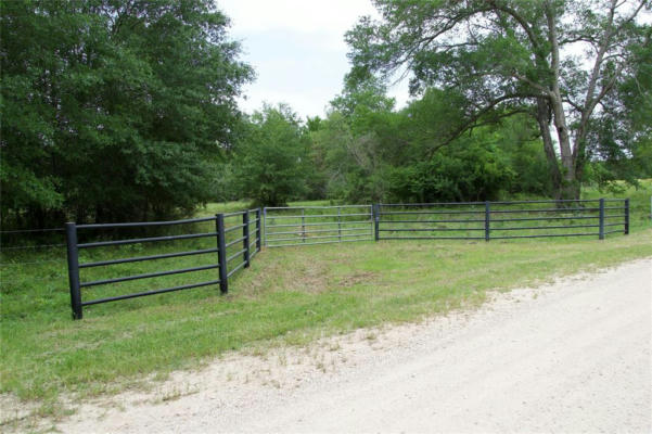 TBD ST DELIGHT RD (TRACT 7), PAIGE, TX 78659, photo 3 of 12