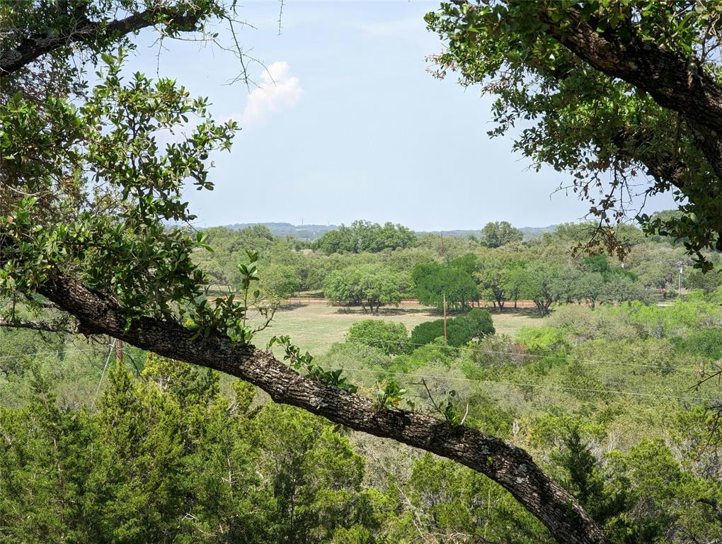 25723 HAMILTON POOL RD, ROUND MOUNTAIN, TX 78663, photo 1 of 16