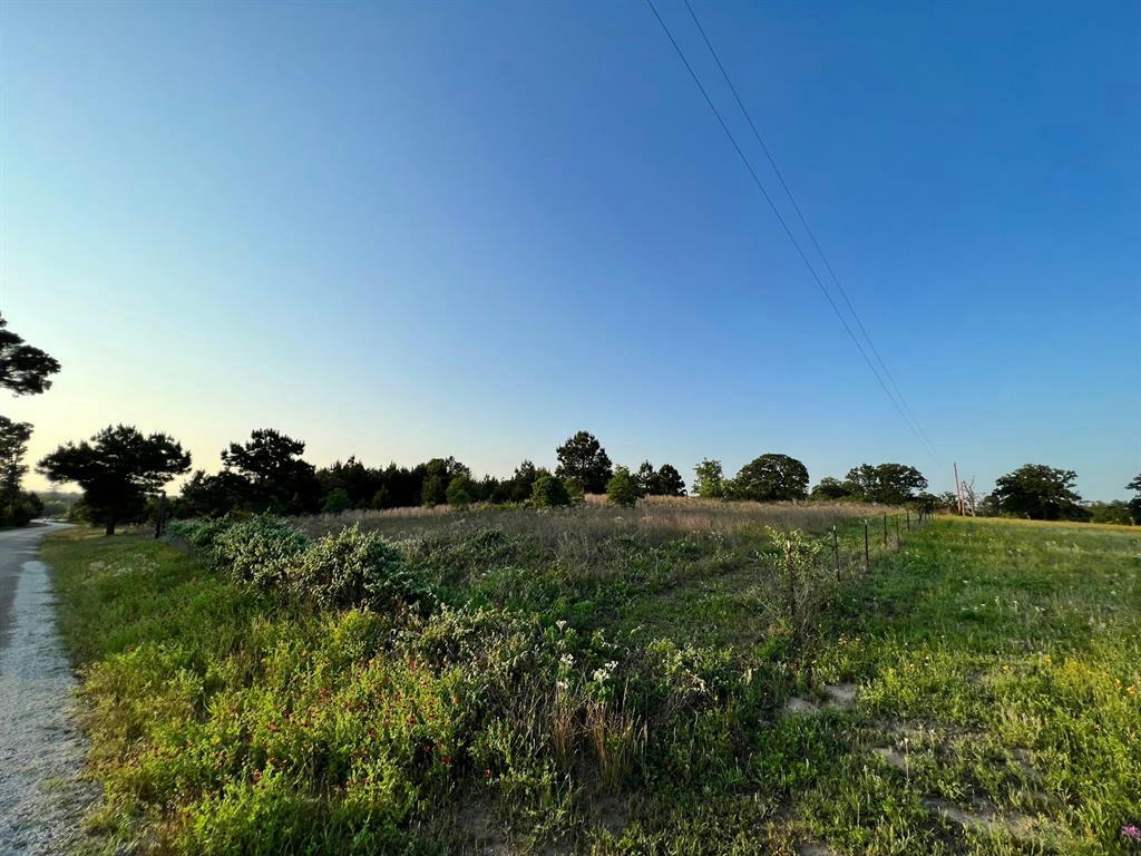 LOT 27 KINSEY RD, PAIGE, TX 78659, photo 1 of 18