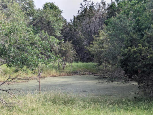 LOT 62 COUNTY ROAD 229, BRIGGS, TX 78608, photo 4 of 10