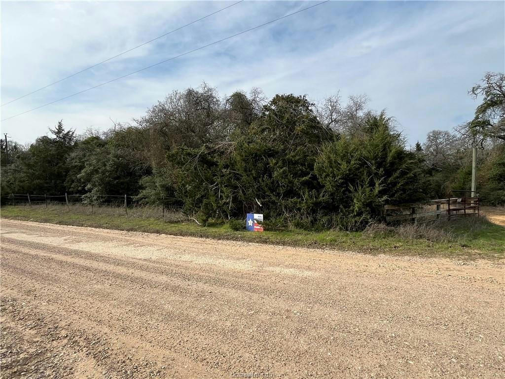 000 TBD COUNTY ROAD 373, CALDWELL, TX 77836, photo 1 of 5