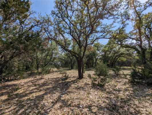 25723 HAMILTON POOL RD, ROUND MOUNTAIN, TX 78663, photo 5 of 16