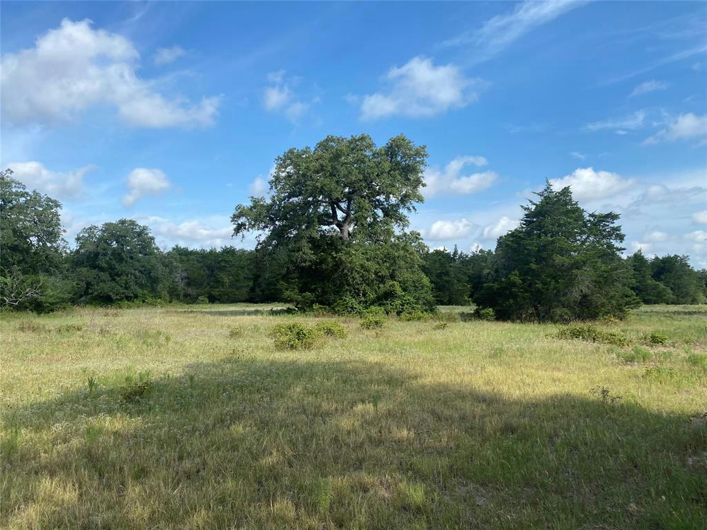 TBD PRIVATE ROAD 2904, GIDDINGS, TX 78942, photo 1 of 3