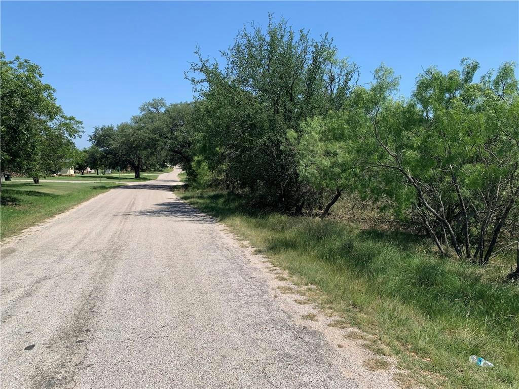 TBD SPRING ST, TOW, TX 78672, photo 1 of 3
