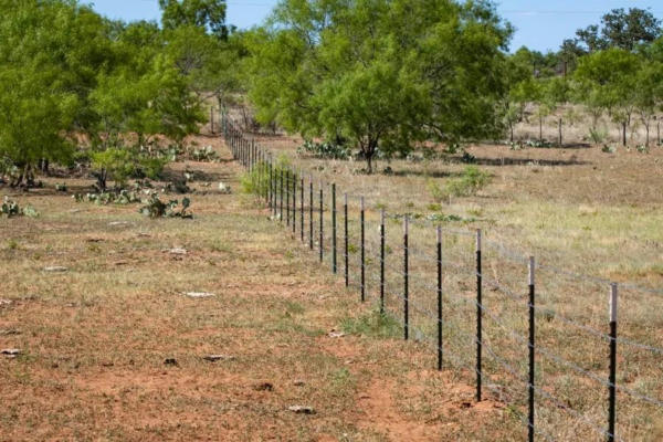 1895 N US HIGHWAY 87, MASON, TX 76856, photo 5 of 40