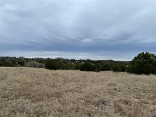 300 WILLOW OAKS DRIVE HIGHWAY, GOLDTHWAITE, TX 76844, photo 3 of 4