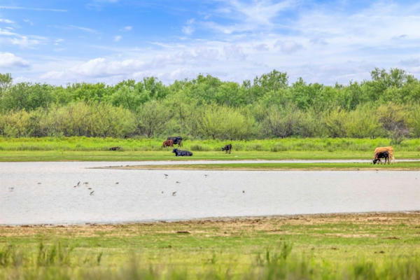 2300 FM 1407, CARRIZO SPRINGS, TX 78834, photo 4 of 40