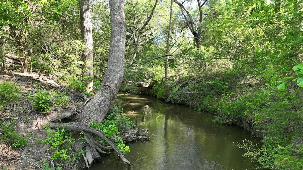 0 COUNTY ROAD 127, GIDDINGS, TX 78942, photo 1 of 39