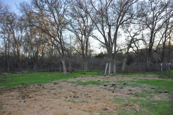 356 PAFFEN RD, PAIGE, TX 78659, photo 4 of 31