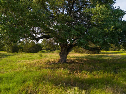 119 PECAN CREEK DR, LAMPASAS, TX 76550, photo 4 of 21