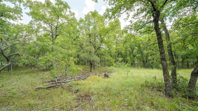 418B COUNTY ROAD 405, BUCKHOLTS, TX 76518, photo 4 of 13