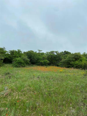 LOT 26 INDIAN SPRINGS CR633, HAMILTON, TX 76565, photo 2 of 12