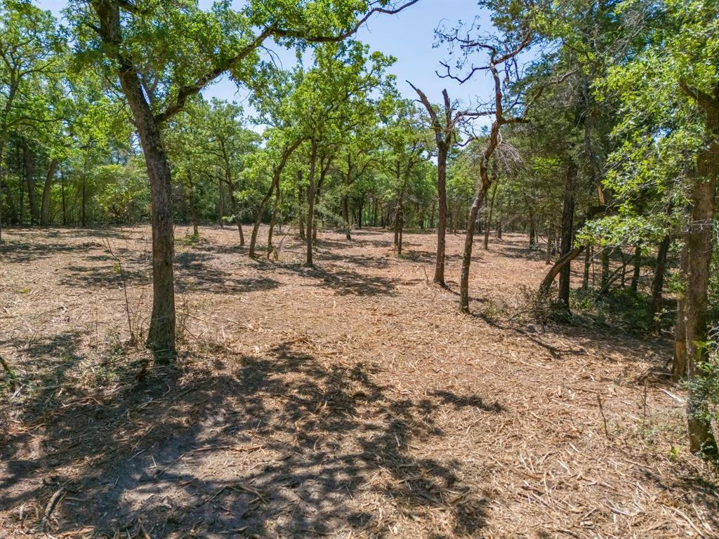 TBD CR 326 TRACT 2, ROCKDALE, TX 76567, photo 1 of 17