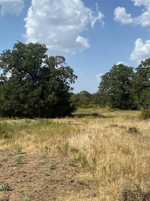 TBD CR 200, GIDDINGS, TX 78942, photo 1 of 4